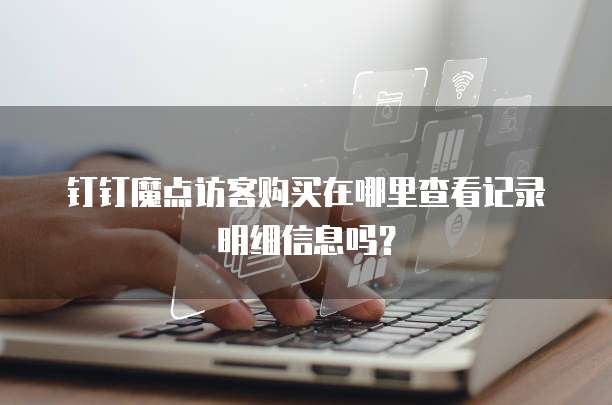 钉钉魔点访客购买在哪里查看记录明细信息吗？