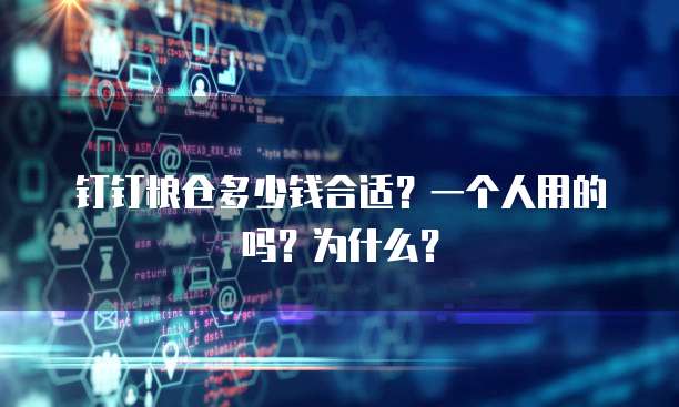 钉钉粮仓多少钱合适?一个人用的吗?为什么?