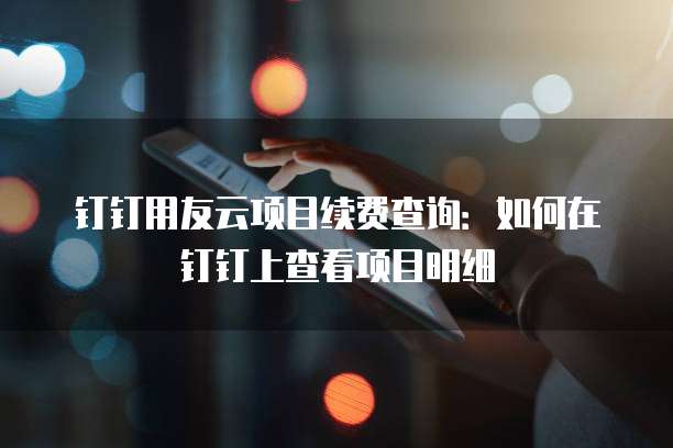 钉钉用友云项目续费查询:如何在钉钉上查看项目明细