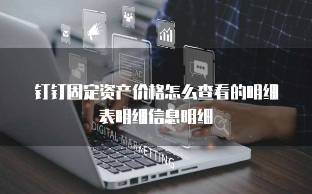 钉钉固定资产价格怎么查看的明细表明细信息明细