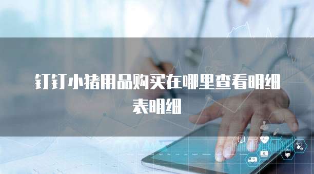 钉钉小猪用品购买在哪里查看明细表明细