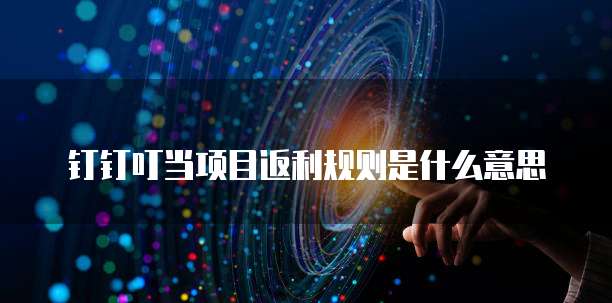 钉钉叮当项目返利规则是什么意思
