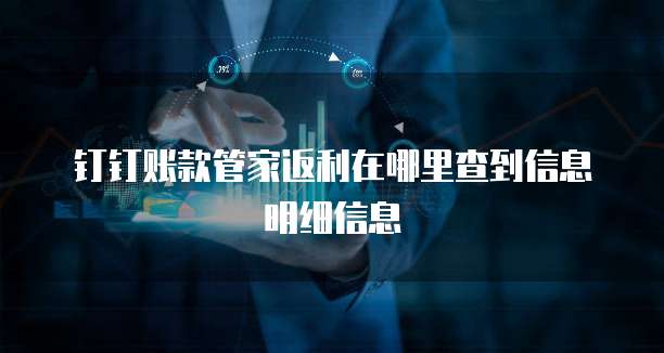 钉钉账款管家返利在哪里查到信息明细信息