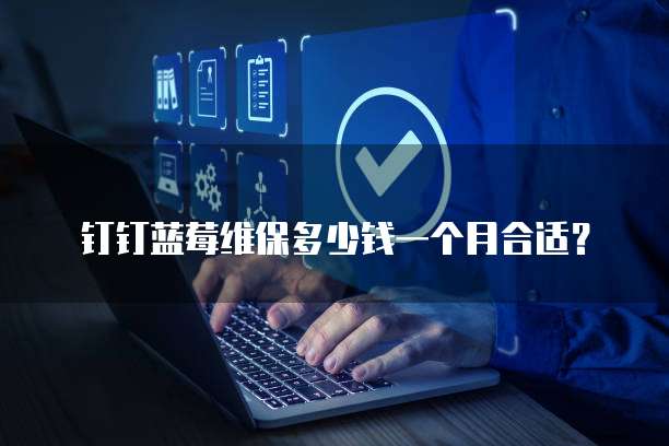 钉钉蓝莓维保多少钱一个月合适?