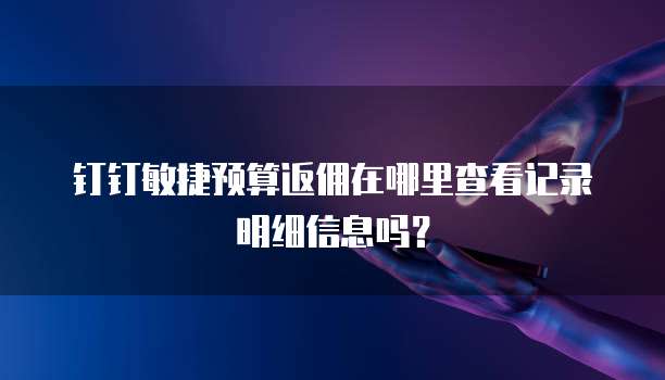 钉钉敏捷预算返佣在哪里查看记录明细信息吗?