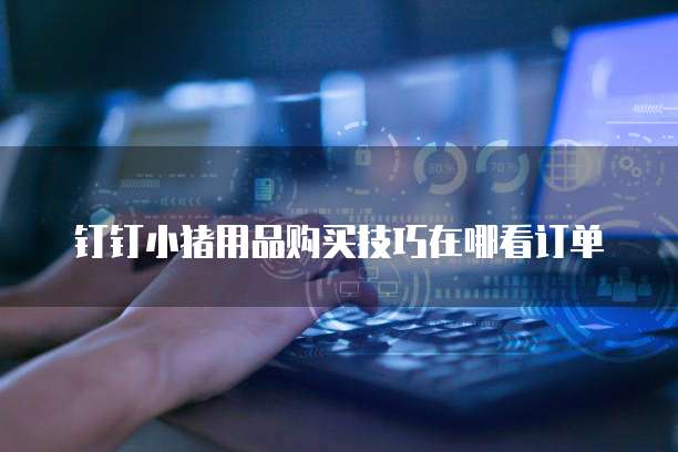 钉钉小猪用品购买技巧在哪看订单