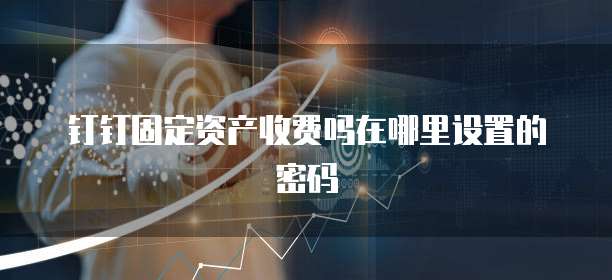 钉钉固定资产收费吗在哪里设置的密码