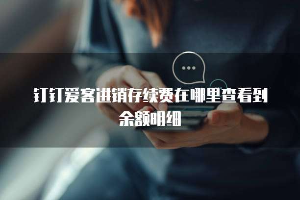 钉钉爱客进销存续费在哪里查看到余额明细
