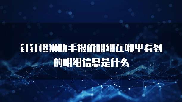 钉钉橙狮助手报价明细在哪里看到的明细信息是什么