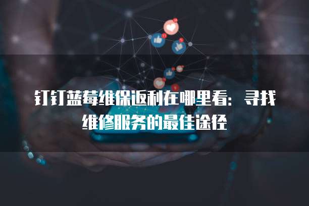 钉钉蓝莓维保返利在哪里看:寻找维修服务的最佳途径