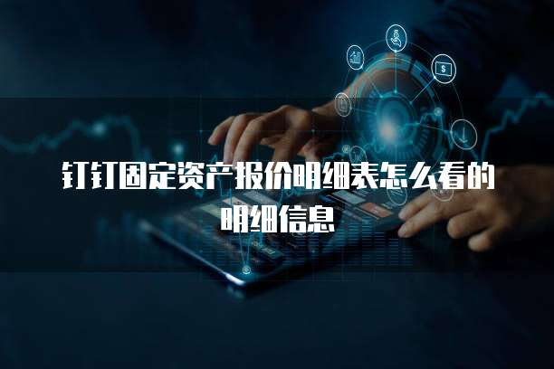 钉钉固定资产报价明细表怎么看的明细信息