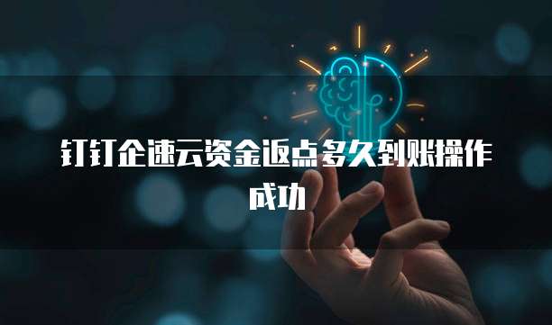 钉钉企速云资金返点多久到账操作成功