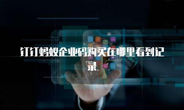 钉钉蚂蚁企业码购买在哪里看到记录
