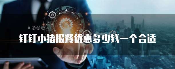 钉钉小猪报餐优惠多少钱一个合适