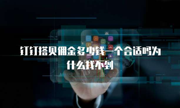 钉钉搭贝佣金多少钱一个合适吗为什么找不到