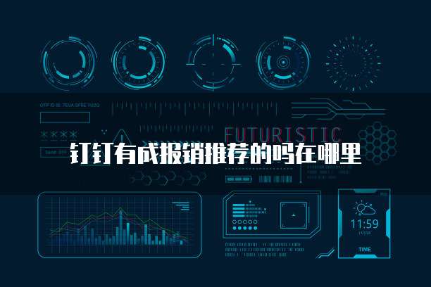 钉钉有成报销推荐的吗在哪里