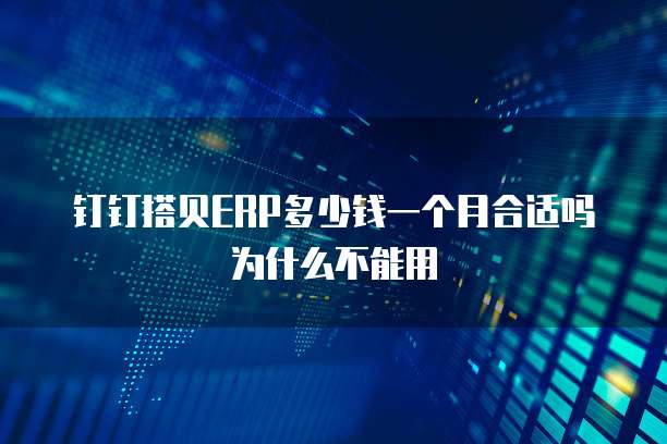 钉钉搭贝ERP多少钱一个月合适吗为什么不能用