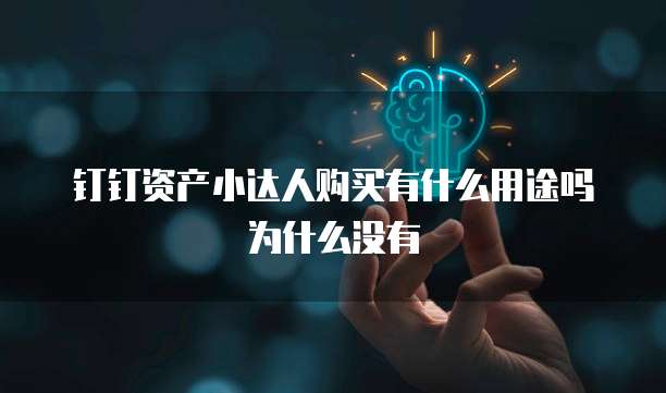 钉钉资产小达人购买有什么用途吗为什么没有