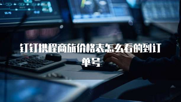 钉钉携程商旅价格表怎么看的到订单号
