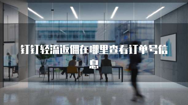 钉钉轻流返佣在哪里查看订单号信息