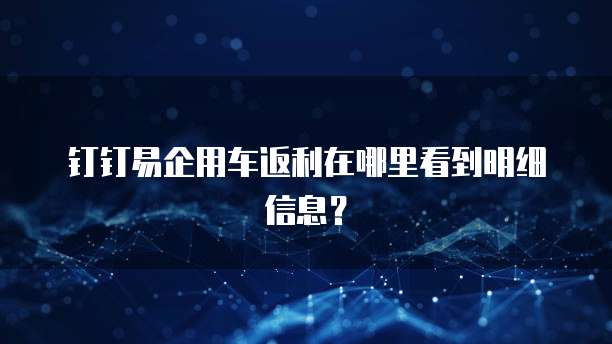 钉钉易企用车返利在哪里看到明细信息?