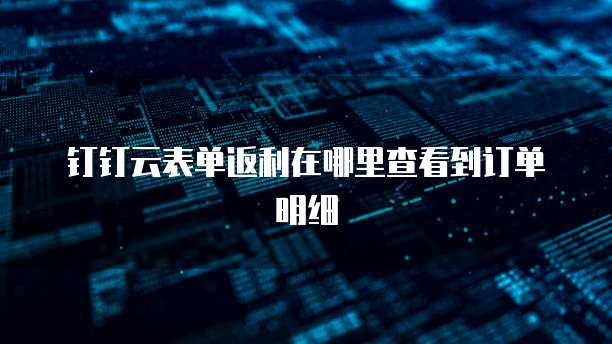 钉钉云表单返利在哪里查看到订单明细