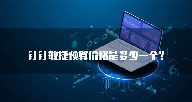 钉钉敏捷预算价格是多少一个?