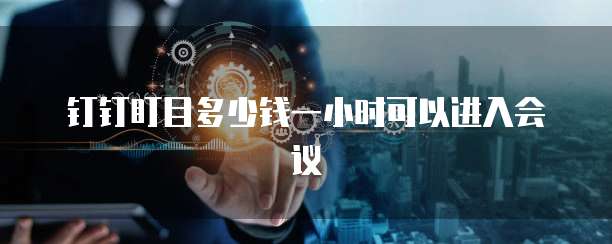 钉钉盯目多少钱一小时可以进入会议