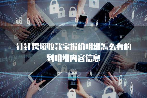 钉钉跨境收款宝报价明细怎么看的到明细内容信息