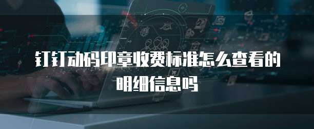 钉钉动码印章收费标准怎么查看的明细信息吗