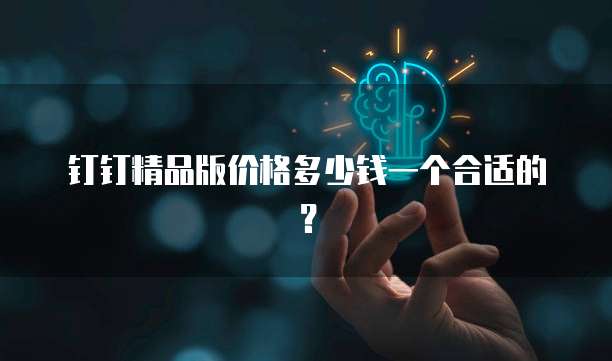 钉钉精品版价格多少钱一个合适的?