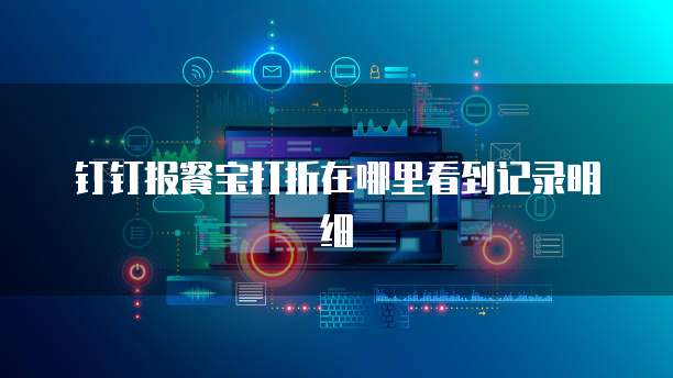 钉钉报餐宝打折在哪里看到记录明细