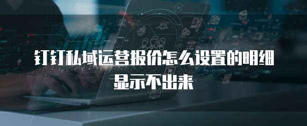 钉钉私域运营报价怎么设置的明细显示不出来
