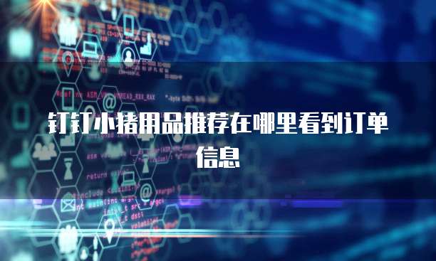 钉钉小猪用品推荐在哪里看到订单信息
