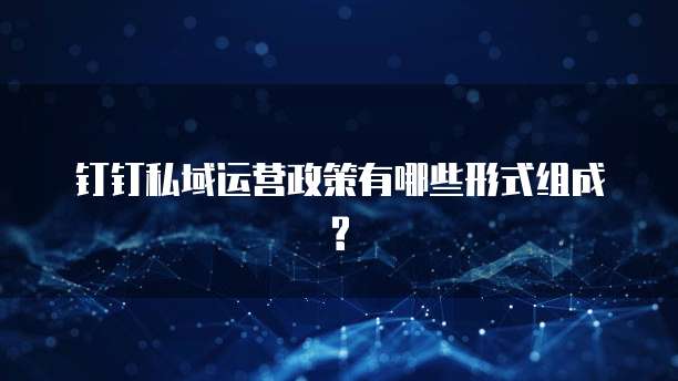 钉钉私域运营政策有哪些形式组成?
