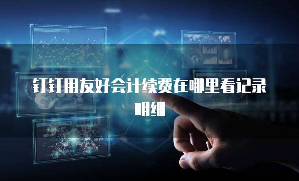 钉钉用友好会计续费在哪里看记录明细