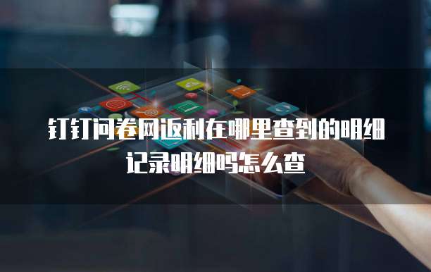 钉钉问卷网返利在哪里查到的明细记录明细吗怎么查