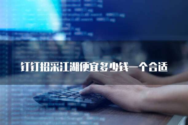 钉钉招采江湖便宜多少钱一个合适