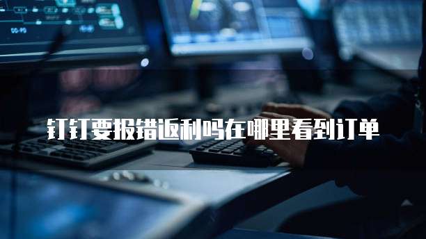钉钉要报错返利吗在哪里看到订单