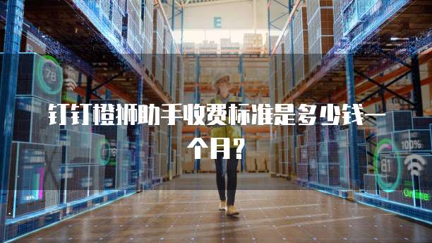钉钉橙狮助手收费标准是多少钱一个月?