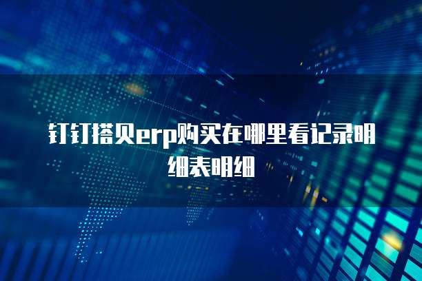 钉钉搭贝erp购买在哪里看记录明细表明细