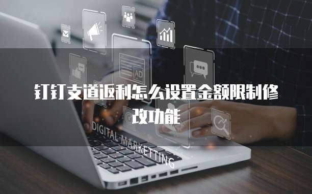 钉钉支道返利怎么设置金额限制修改功能