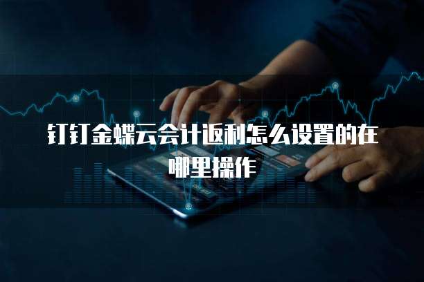钉钉金蝶云会计返利怎么设置的在哪里操作