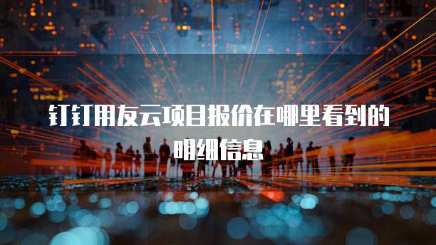 钉钉用友云项目报价在哪里看到的明细信息