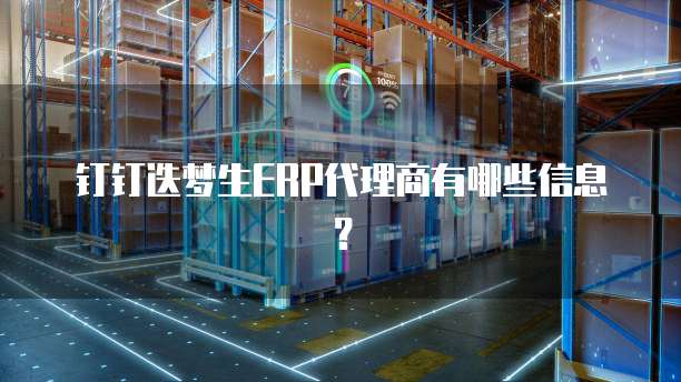 钉钉迭梦生ERP代理商有哪些信息?