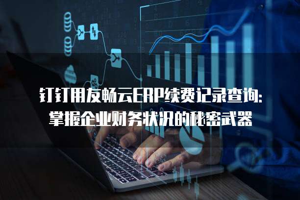 钉钉用友畅云ERP续费记录查询:掌握企业财务状况的秘密武器