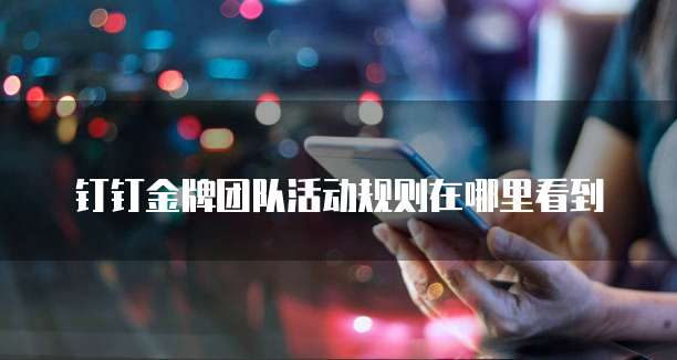 钉钉金牌团队活动规则在哪里看到