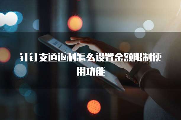 钉钉支道返利怎么设置金额限制使用功能