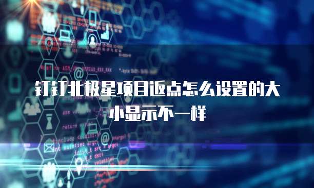 钉钉北极星项目返点怎么设置的大小显示不一样