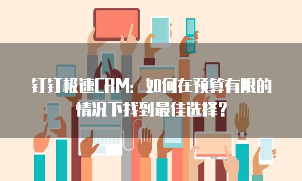 钉钉极速CRM:如何在预算有限的情况下找到最佳选择?